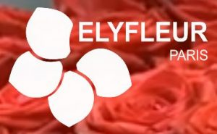 logo-elyfleur